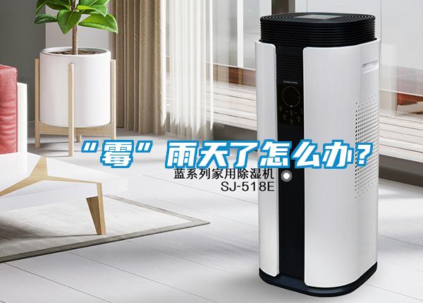“霉”雨天了怎么辦？
