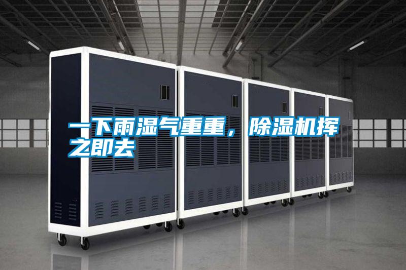 一下雨濕氣重重，除濕機揮之即去