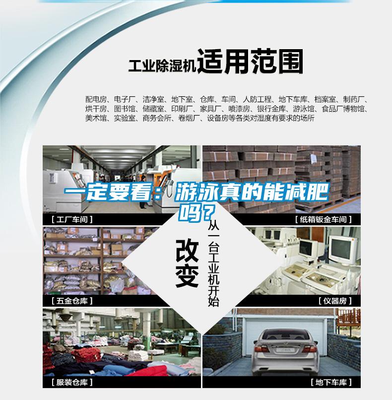 一定要看：游泳真的能減肥嗎？