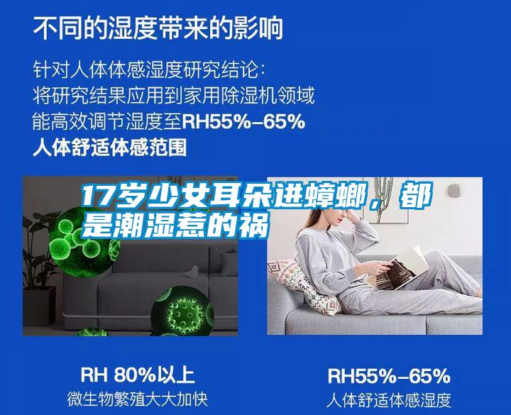 17歲少女耳朵進(jìn)蟑螂，都是潮濕惹的禍