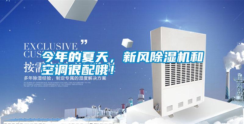 今年的夏天，新風(fēng)除濕機(jī)和空調(diào)很配哦！