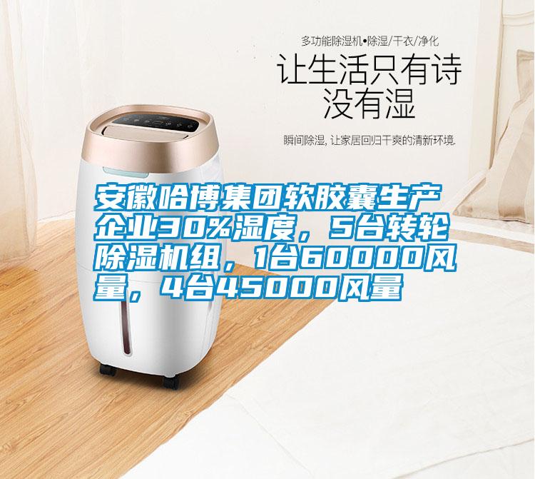 安徽哈博集團軟膠囊生產企業(yè)30%濕度，5臺轉輪除濕機組，1臺60000風量，4臺45000風量