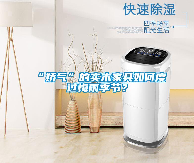 “嬌氣”的實木家具如何度過梅雨季節(jié)？