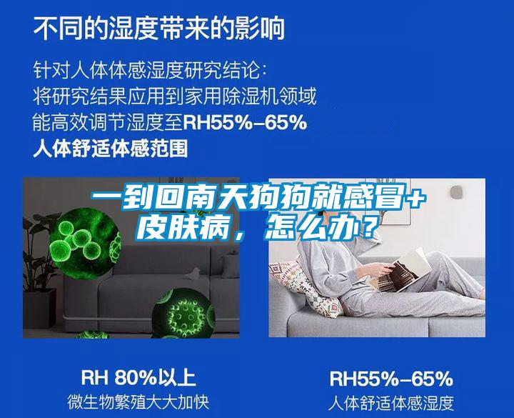 一到回南天狗狗就感冒+皮膚病，怎么辦？