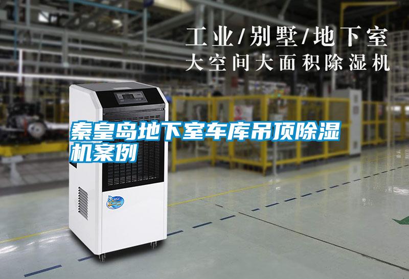 秦皇島地下室車庫吊頂除濕機(jī)案例