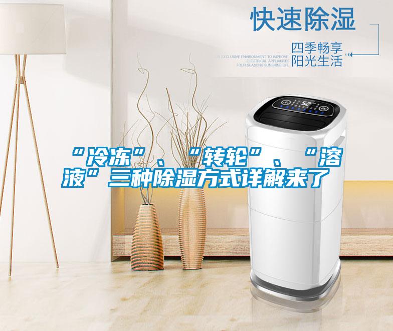 “冷凍”、“轉(zhuǎn)輪”、“溶液”三種除濕方式詳解來了