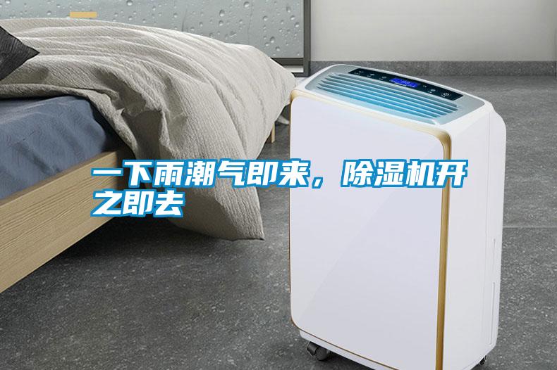 一下雨潮氣即來，除濕機開之即去