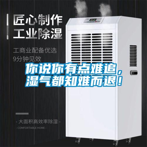 你說你有點(diǎn)難追，濕氣都知難而退！