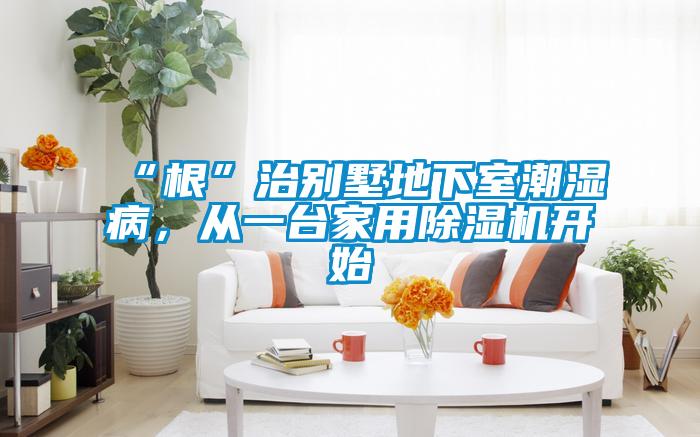 “根”治別墅地下室潮濕病，從一臺家用除濕機開始