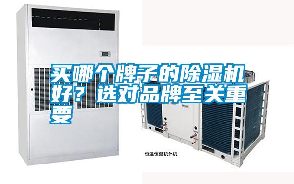 買哪個(gè)牌子的除濕機(jī)好？選對(duì)品牌至關(guān)重要