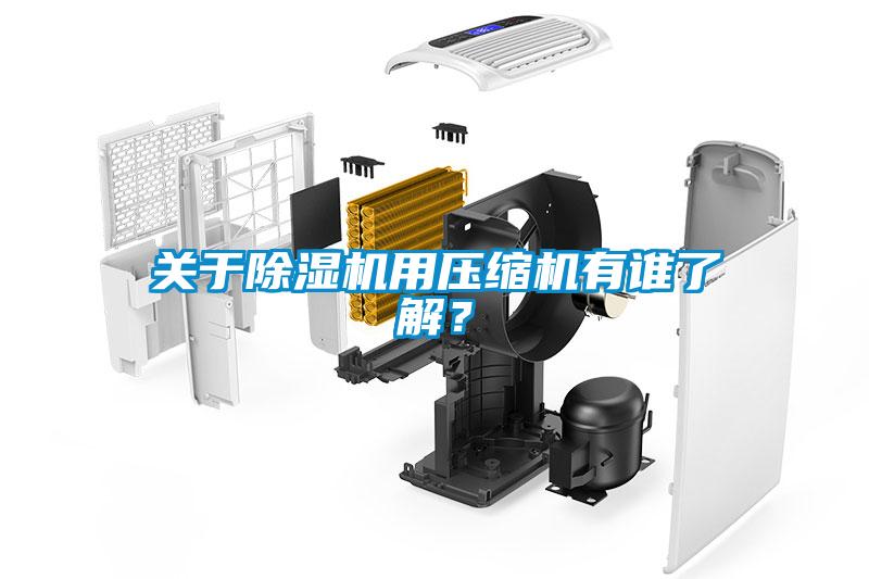 關(guān)于除濕機(jī)用壓縮機(jī)有誰了解？