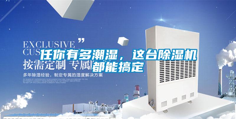 任你有多潮濕，這臺除濕機(jī)都能搞定