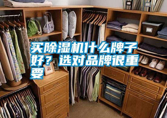 買除濕機(jī)什么牌子好？選對(duì)品牌很重要
