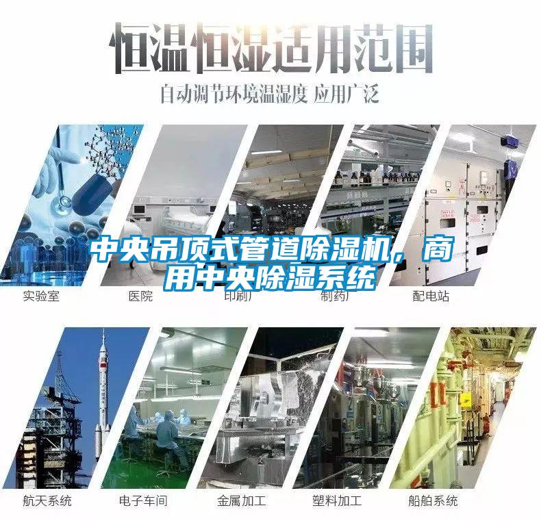 中央吊頂式管道除濕機，商用中央除濕系統(tǒng)
