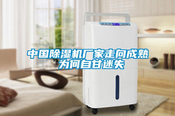 中國(guó)除濕機(jī)廠(chǎng)家走向成熟 為何自甘迷失