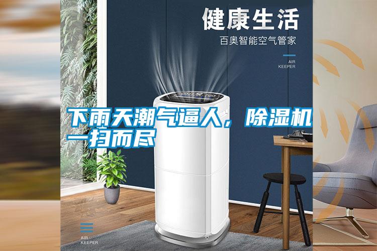 下雨天潮氣逼人，除濕機(jī)一掃而盡