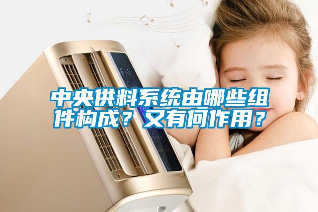 中央供料系統(tǒng)由哪些組件構(gòu)成？又有何作用？