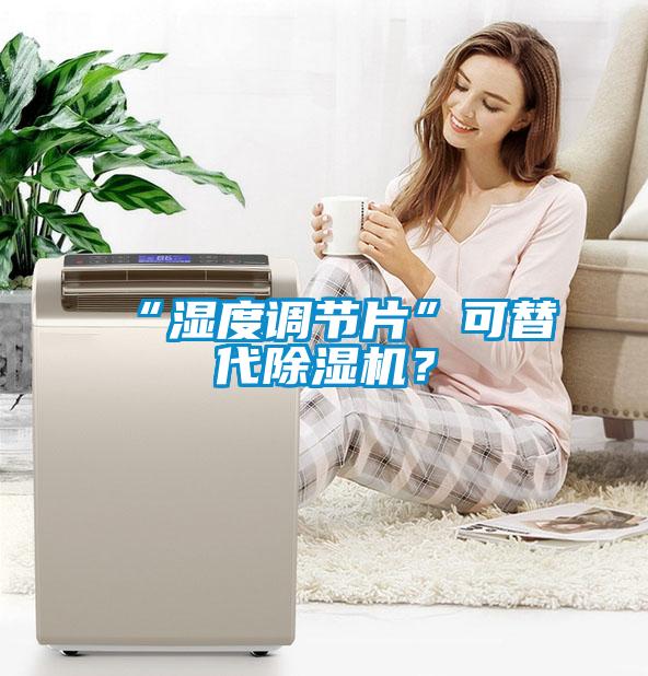 “濕度調(diào)節(jié)片”可替代除濕機(jī)？