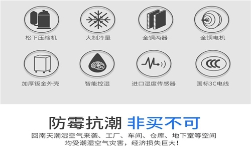 為什么房子潮濕會有危害？