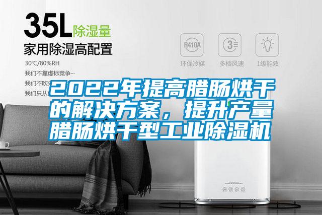 2022年提高臘腸烘干的解決方案，提升產(chǎn)量臘腸烘干型工業(yè)除濕機(jī)