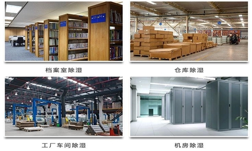 為什么竹筍烘干房需要除濕機(jī)？