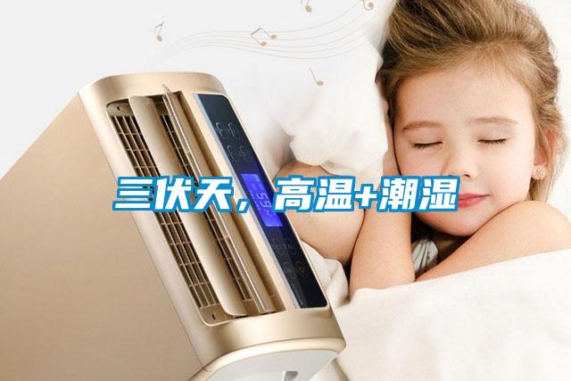 三伏天，高溫+潮濕