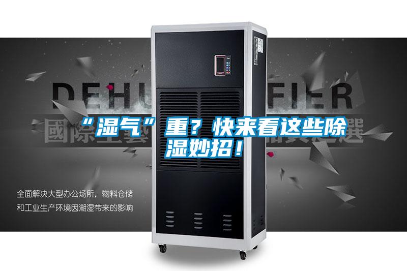 “濕氣”重？快來(lái)看這些除濕妙招！