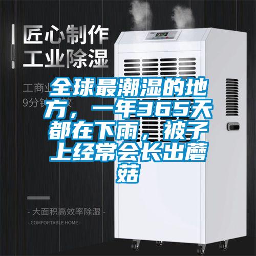 全球最潮濕的地方，一年365天都在下雨，被子上經(jīng)常會長出蘑菇