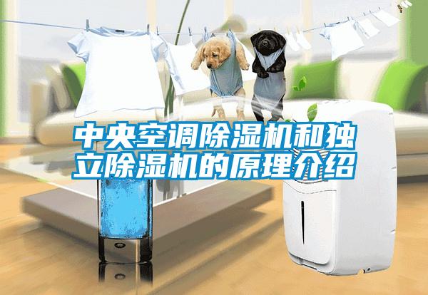 中央空調(diào)除濕機(jī)和獨立除濕機(jī)的原理介紹