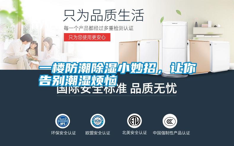 一樓防潮除濕小妙招，讓你告別潮濕煩惱