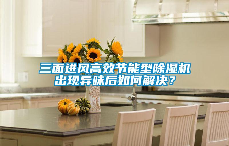 三面進(jìn)風(fēng)高效節(jié)能型除濕機(jī)出現(xiàn)異味后如何解決？