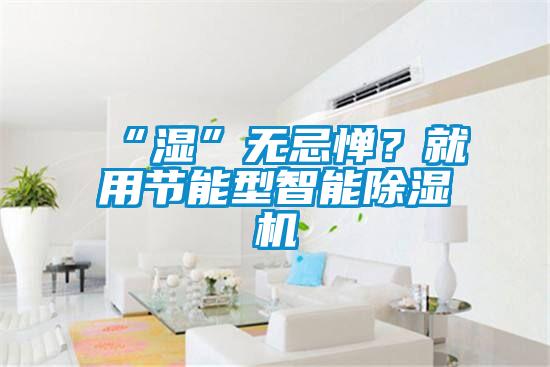 “濕”無(wú)忌憚？就用節(jié)能型智能除濕機(jī)
