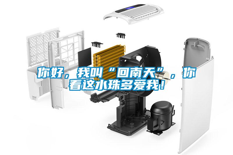 你好，我叫“回南天”，你看這水珠多愛(ài)我！