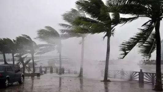 8月臺風(fēng)雨即將來，除濕機還得用起來