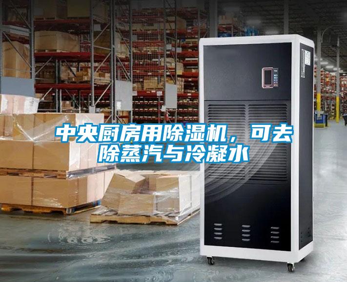 中央廚房用除濕機(jī)，可去除蒸汽與冷凝水