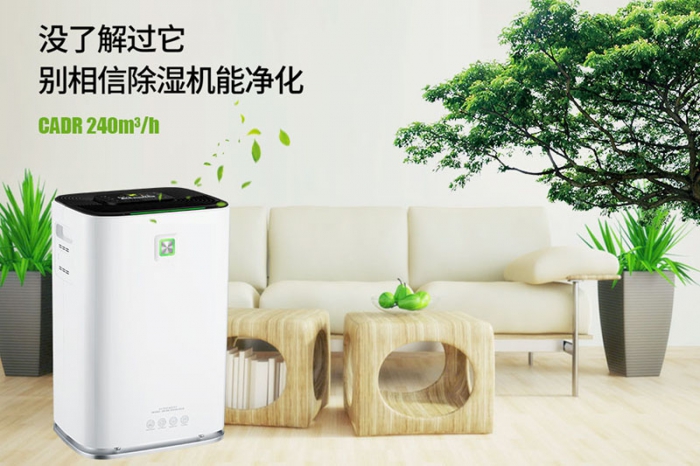 一到回南天狗狗就感冒+皮膚病，怎么辦？