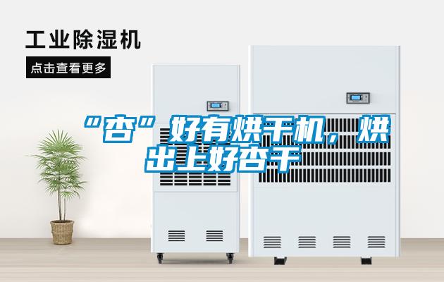 “杏”好有烘干機(jī)，烘出上好杏干