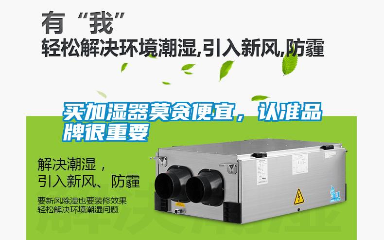 買加濕器莫貪便宜，認準品牌很重要