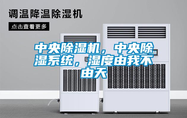 中央除濕機(jī)，中央除濕系統(tǒng)，濕度由我不由天