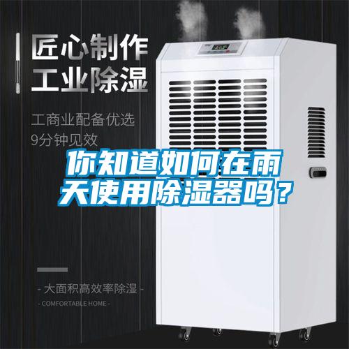 你知道如何在雨天使用除濕器嗎？