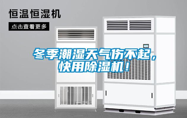 冬季潮濕天氣傷不起，快用除濕機(jī)！