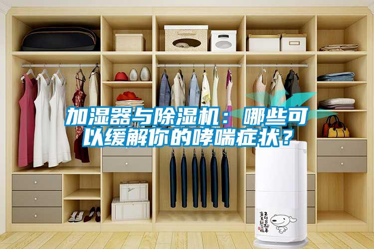 加濕器與除濕機(jī)：哪些可以緩解你的哮喘癥狀？
