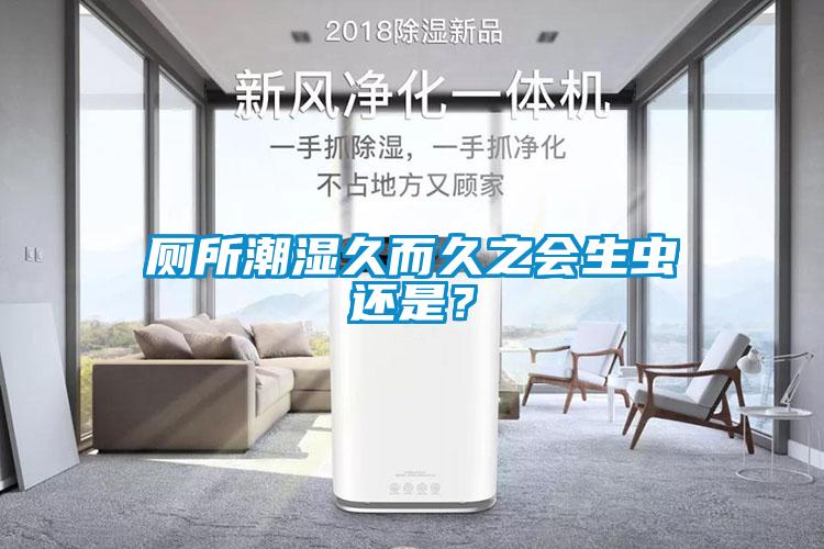 廁所潮濕久而久之會生蟲還是？