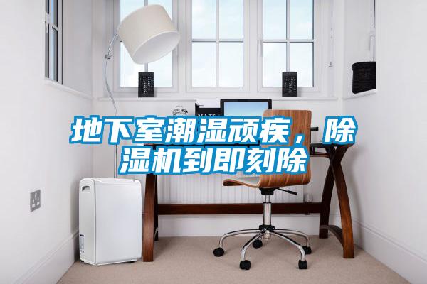 地下室潮濕頑疾，除濕機(jī)到即刻除