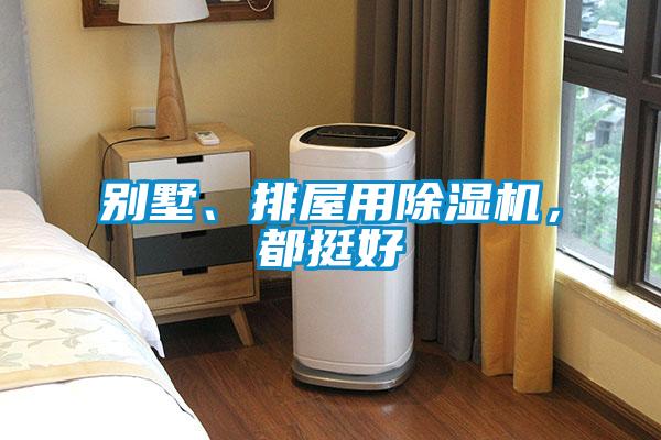 別墅、排屋用除濕機(jī)，都挺好