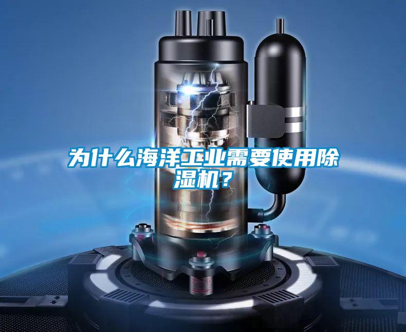 為什么海洋工業(yè)需要使用除濕機(jī)？