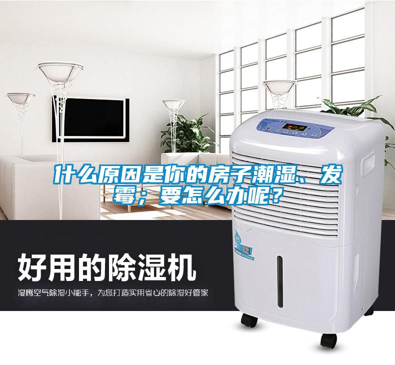 什么原因是你的房子潮濕、發(fā)霉；要怎么辦呢？