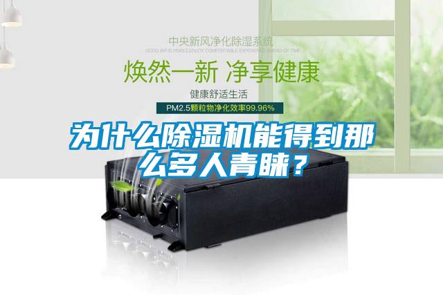 為什么除濕機能得到那么多人青睞？