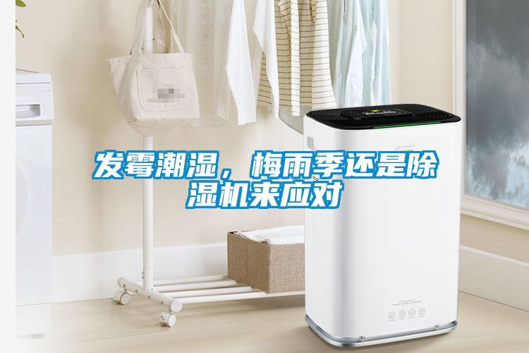 發(fā)霉潮濕，梅雨季還是除濕機(jī)來(lái)應(yīng)對(duì)