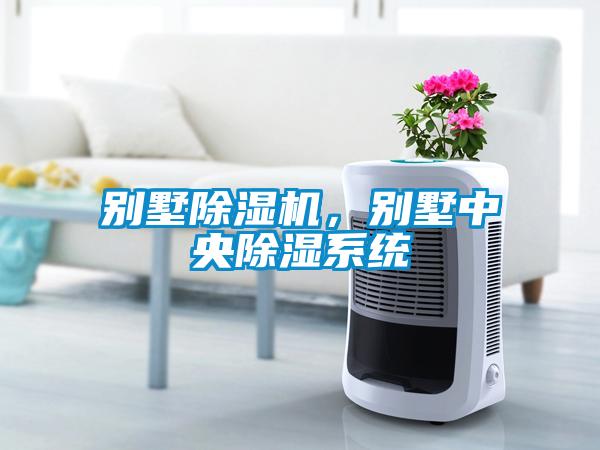 別墅除濕機(jī)，別墅中央除濕系統(tǒng)